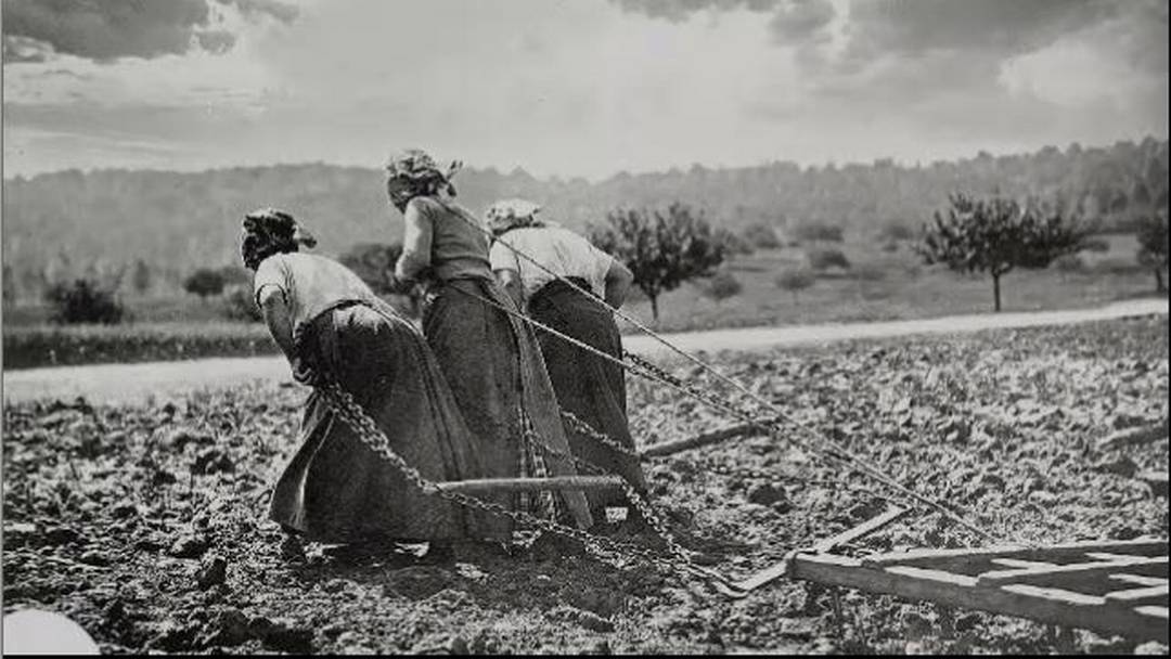 Il lavoro della donna nell'agricoltura in regime capitalistico